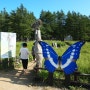 [정선가볼만한곳]고한 야생화 축제