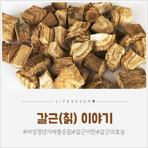 여성 갱년기에 좋은 한약재 칡(갈근), 칡의 효능은? : 네이버 블로그