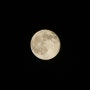 보름달/만월[full moon] - 망~하현달