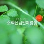 225. 충북 단양 소백산남천야영장 - 물놀이 캠핑 [2박3일]