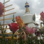 부탄 여행 샹그릴라 부탄왕국 팀부 꽃 축제