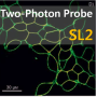 SL2, Two-Photon Probe