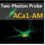 ACa1-AM, Two-Photon Probe