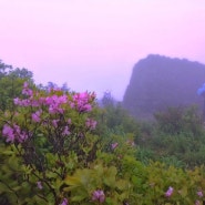 태백산 국립공원