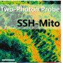SSH-Mito, Two-Photon Probe