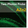 AZn2, Two-Photon Probe