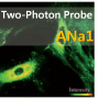 ANa1, Two-Photon Probe