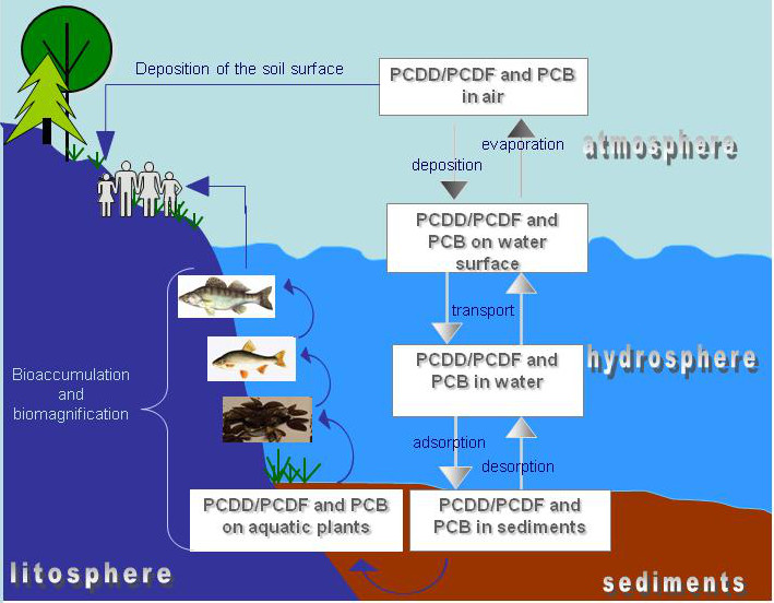 Polychlorinated dibenzo-p-dioxins (PCDD), dibenzofurans (PCDF) and ...