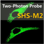 SHS-M2, Two-Photon Probe