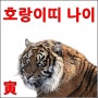 호랑이띠 나이-2017년 호랑이띠 나이