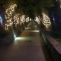 밤이 더 아름다운 홍천 대명비발디파크