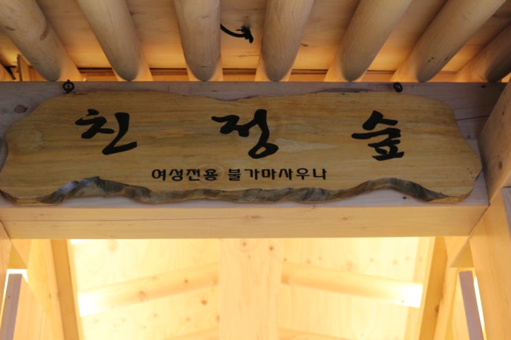 홍대찜질방 신촌찜질방 친정숲불한증막 추천 : 네이버 블로그