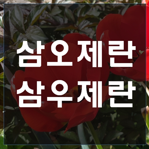 삼오제란 의미와 시기 : 네이버 블로그