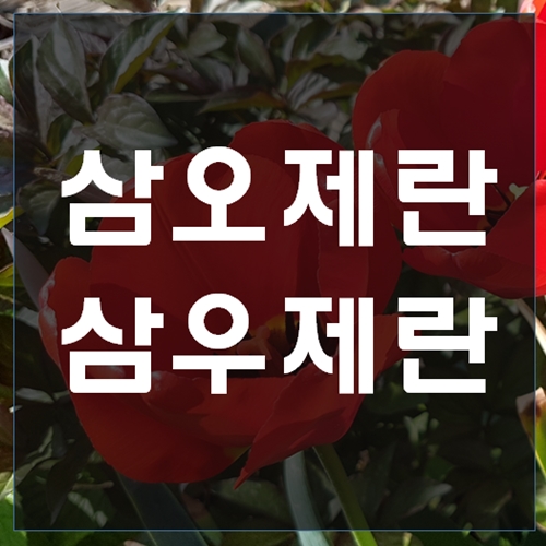 삼오제란 의미와 시기 : 네이버 블로그