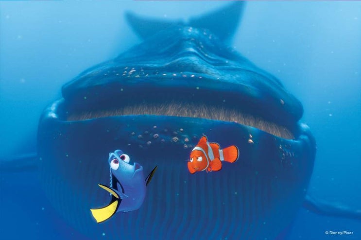 [투디가 뽑은 명장면] 08. 니모를 찾아서(Finding Nemo, 2003) - 고래에게 먹힌 멀린과 도리 : 네이버 블로그