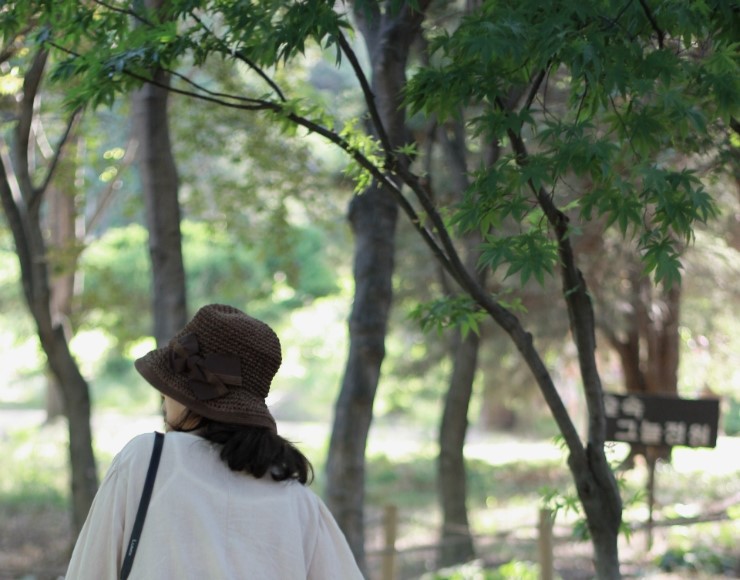 숲에 관한 기억 나희덕 네이버 블로그 5443