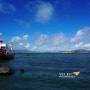 [미국 서부 여행] 샌프란시스코 여행 - 피어 39(Pier 39)와 바다사자
