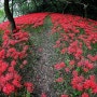 [1년 전 오늘] [명산절경] 내가 꼽은 전북 12경 : 그곳에 가고 싶다