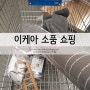 이케아에서 인테리어 소품 쇼핑 :)