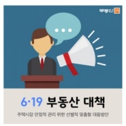 6.19 부동산대책, 강남보다 강북이 타격?