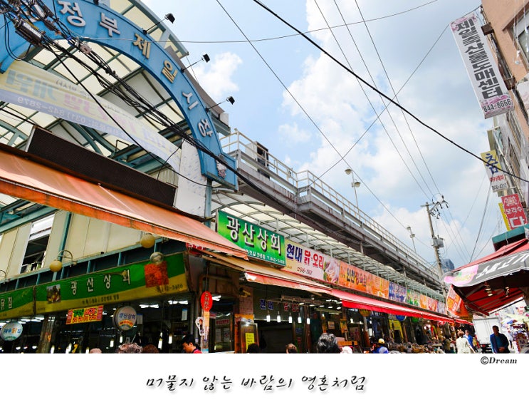 경기북부에서 가장 큰 전통시장_의정부 제일시장 : 네이버 블로그