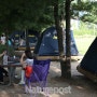 성동구, 7월1일부터 ‘2017 서울숲 여름캠핑장’ 운영