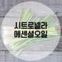 [왓솝] 시트로넬라 에센셜오일 알아보기