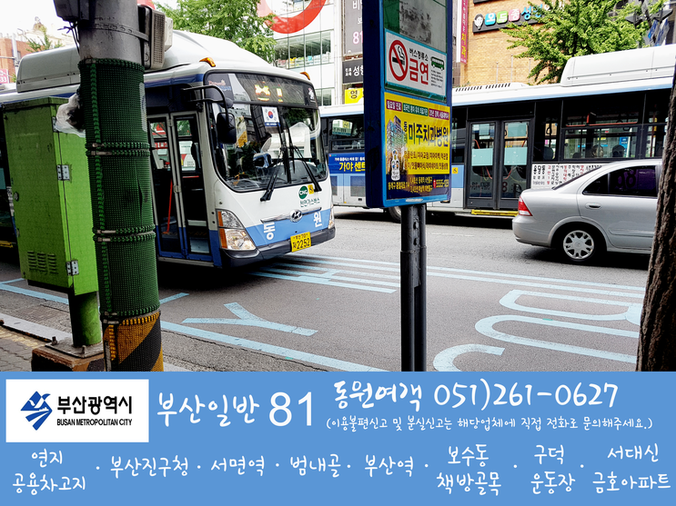 부산광역시 일반시내버스 81번 노선안내 : 네이버 블로그