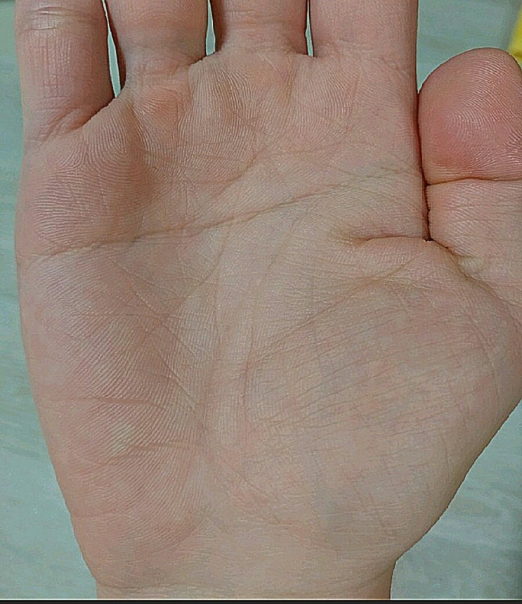 (막쥔손금,일자손금,원숭이손금)손금감정을 통한 운세향상시키기 : 네이버 블로그