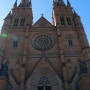 호주 워홀[오지랖 민의 오지나라이야기]31. 시드니 St Mary's Cathedral 세인트 메리 대성당