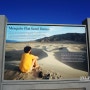[미국 서부 여행] 데스 밸리 국립공원(Death Valley National Park) - 메스키트 플랫 듄스(Mesquite Flat Dunes)