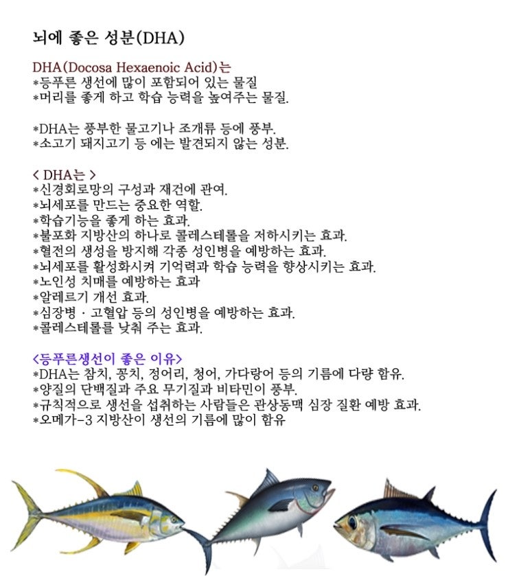 DHA(뇌건강에 좋은 성분) : 네이버 블로그