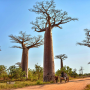 큐터가 직접 여행하고 추천하는 마다가스카르 (Madagascar)