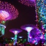 [싱가포르 1박 2일 여행] 가든스 바이 더 베이 슈퍼트리쇼, 아바타 세계로의 여행 : 싱가포르 야경 명소