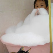 [아이와 고양이] 목욕하는 만두어린이와 구경하는 삐약 만약커플