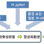 위전암병변(위점막위축, 장상피화생, 이형성)