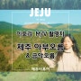 [제주오름]이효리 '서울.. Seoul' 뮤직비디오 제주도 촬영지, 송당 '아부오름'