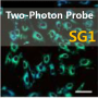 SG1, Two-Photon probe