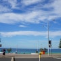 호주여행 2017.05.01 본다이비치 & 쿠지비치 Bondi beach to Coogee