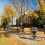 꼭 가고 싶은 미국 주립대, 메인대학교 (University of Maine)