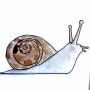 달팽이 그리기 - 손그림 동물 쉽게 그리기