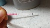 둘째 임신 배란8일째 원포 시약선?? 무증상 : 네이버 블로그 둘째 임신 배란8일째 원포 시약선?? 무증상 : 네이버 블로그