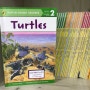 초등영어 4학년에게 추천하는 영어원서 'Turtle'