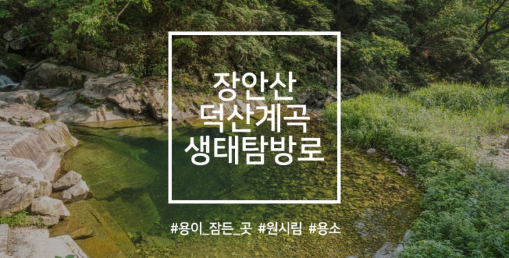 전북/장수] 울창한 숲속을 흐르는 계곡, 그 사잇길을 따라 - 덕산계곡 생태탐방로 : 네이버 블로그