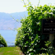 Kelowna Mission Hill Family Estate and Kempf Cherry Orchards