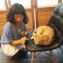 제주도고양이카페/커피타는야옹이 - 고양이와 함께 즐거운 시간