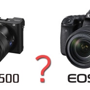 [프리뷰] 동영상 촬영 카메라 선택!! 소니 a6500 & 캐논 80D