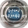 재밌는 배수구 청소(하수구)-feat.과탄산소다
