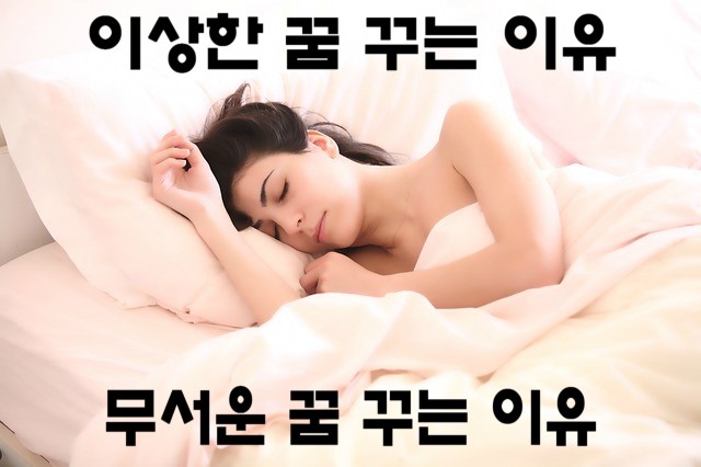 ​이상한 꿈과 무서운 꿈을 꾸는 이유들.   : 네이버 블로그