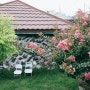 여름 마농 정원...핑크꽃 배롱나무 (제주전통돌집 마농렌탈&게스트하우스)